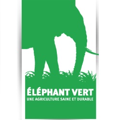 ELEPHANT VERT